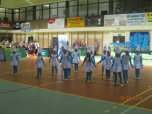 turta 496